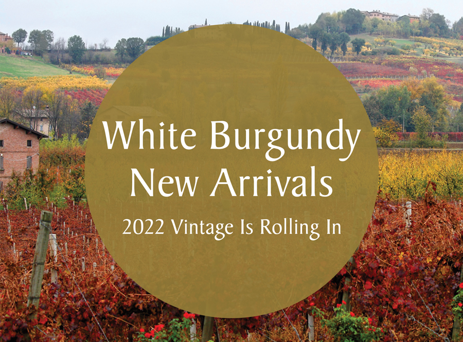 White Burgundy New Arrivals