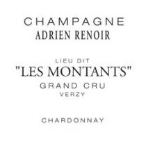 Adrien Renoir - Extra-Brut Blanc De Blancs Grand Cru Les Montants Verzy Champagne 2018 (750ml) (750ml)