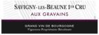 Jean-Marc Pavelot - Savigny-les-Beaune 1er Cru Aux Gravains 2020 (750)