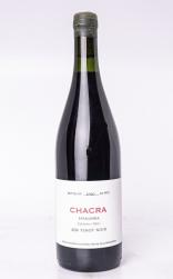 Bodega Chacra - Pinot Noir Treinta y Dos 2020 (750ml) (750ml)
